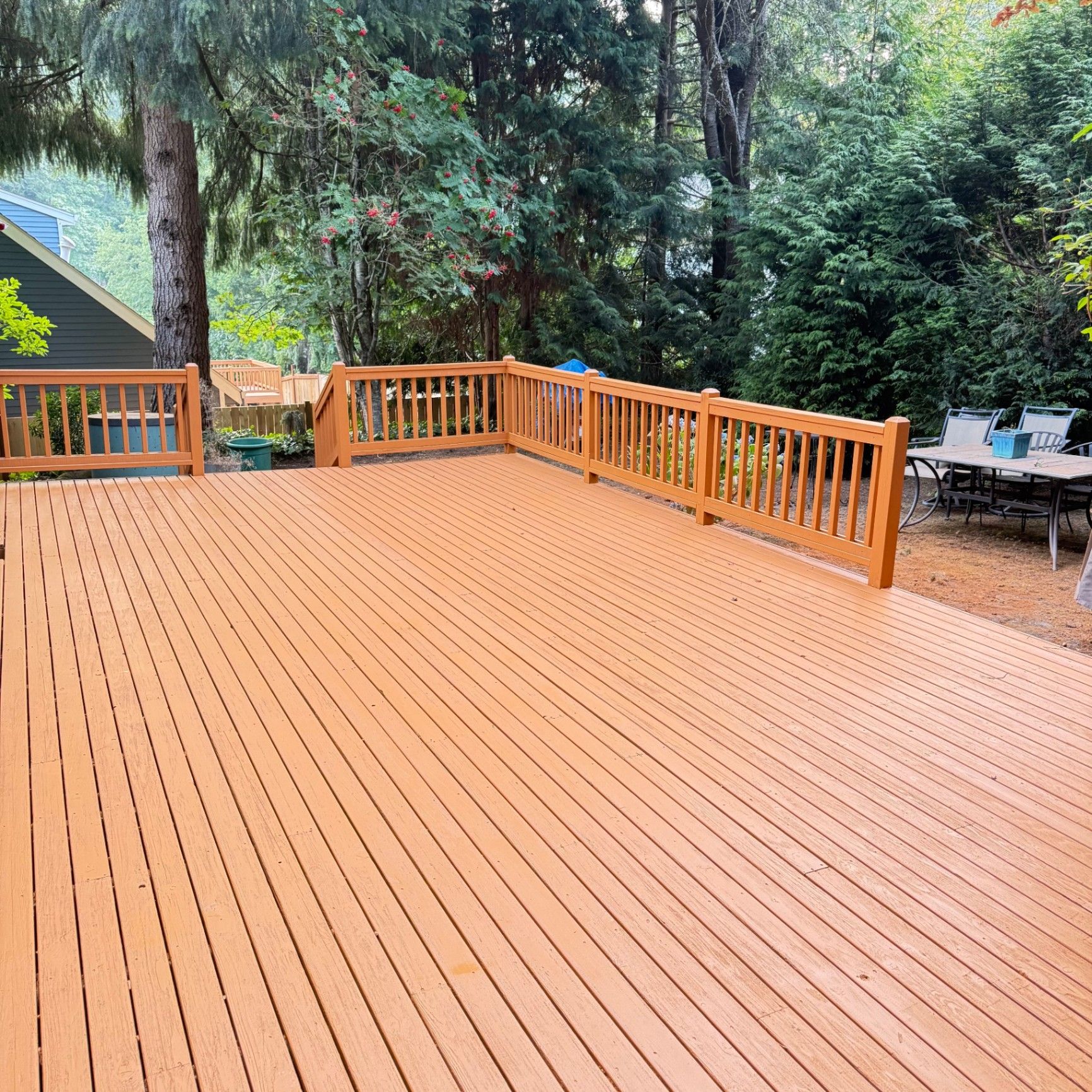 Wide cedar deck with warm-toned boards and railing surrounded by Northwest evergreens