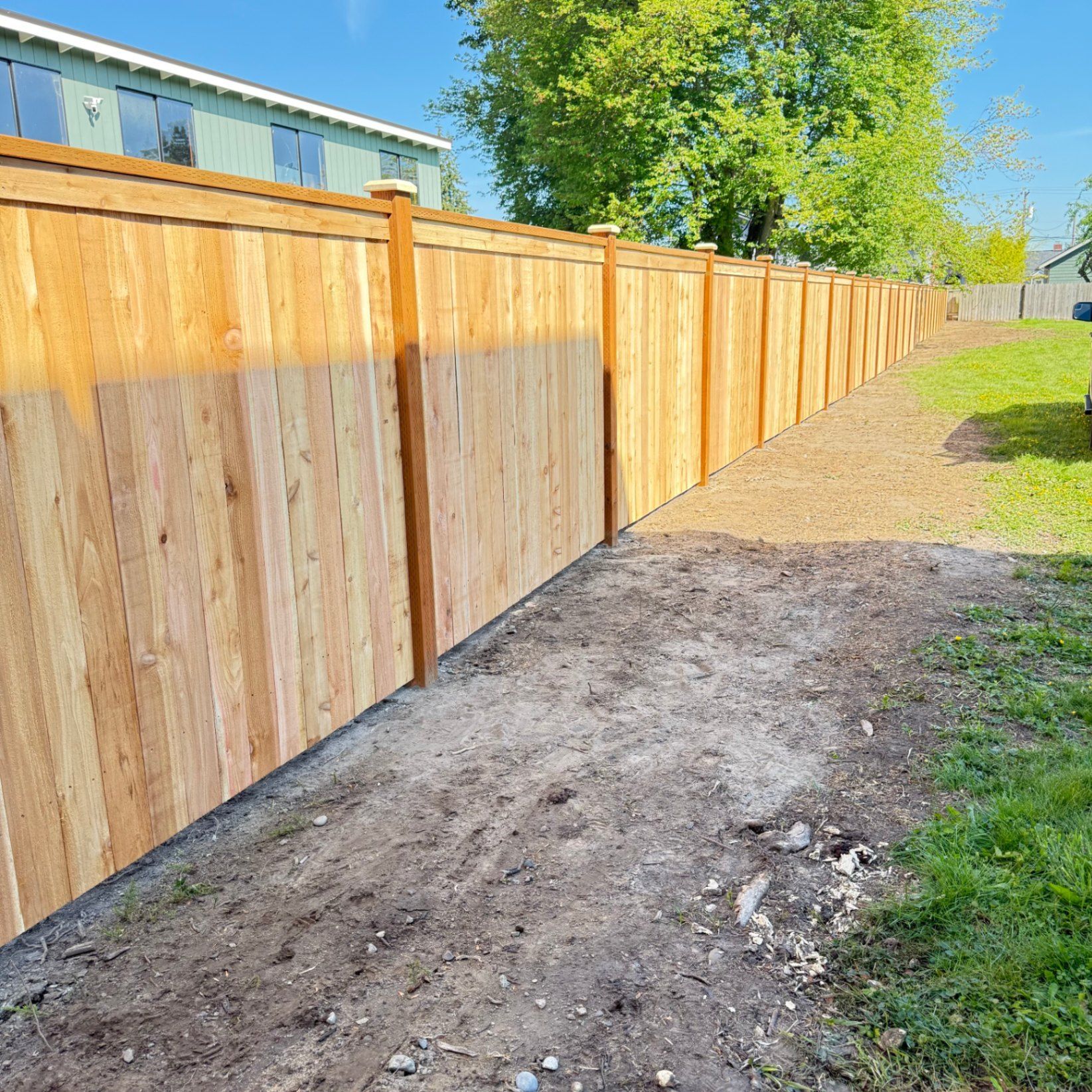 New cedar privacy fence running along the side of a green lawn